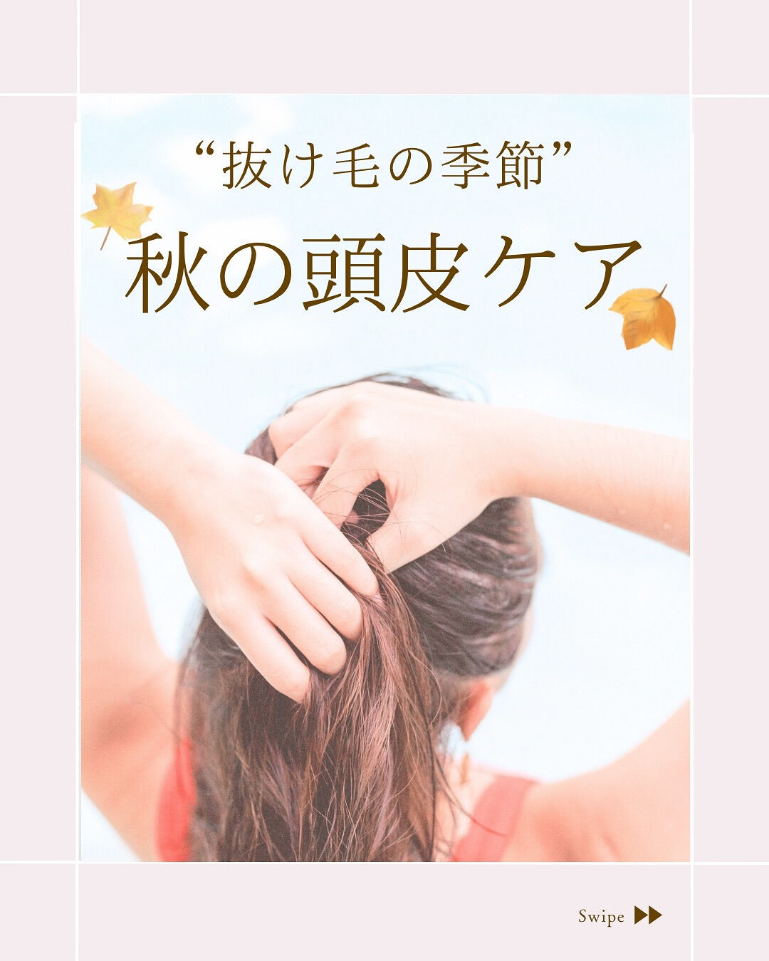 ⌇「生まれ変わり」の季節です⸝⋆