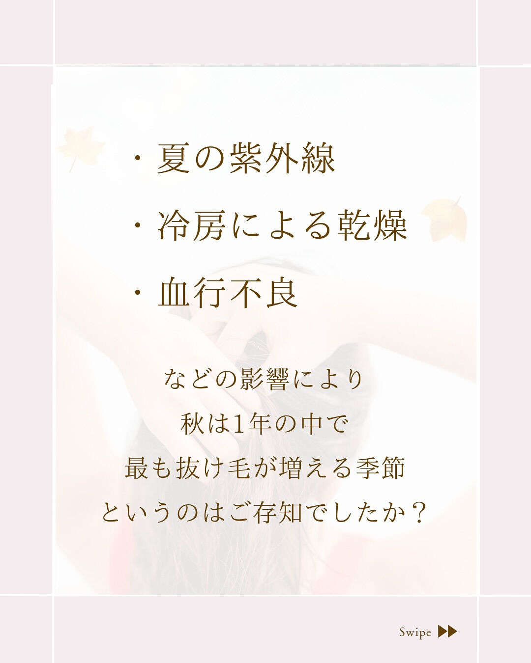⌇「生まれ変わり」の季節です⸝⋆