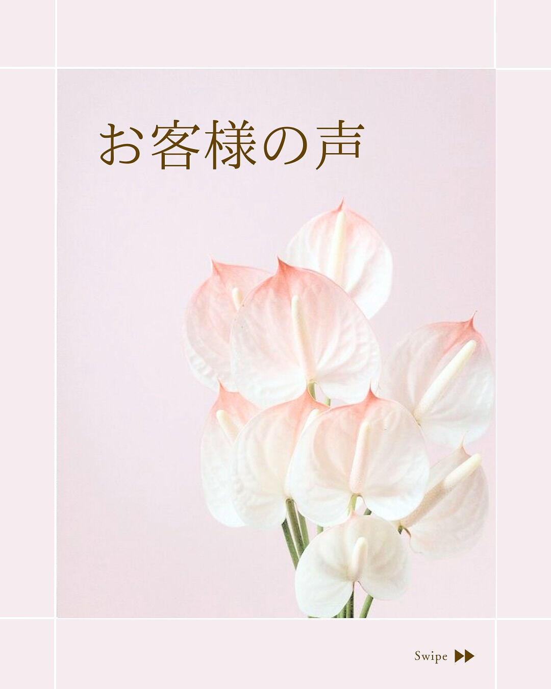 ⌇お客様の声をご紹介⸝⋆